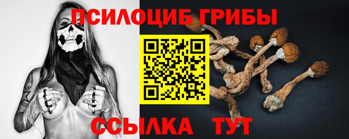 Урюпинск  Псилоцибиновые грибы ЛСД  Вход с VPN  Псилоцибиновые грибы GOLDEN TEACHER 